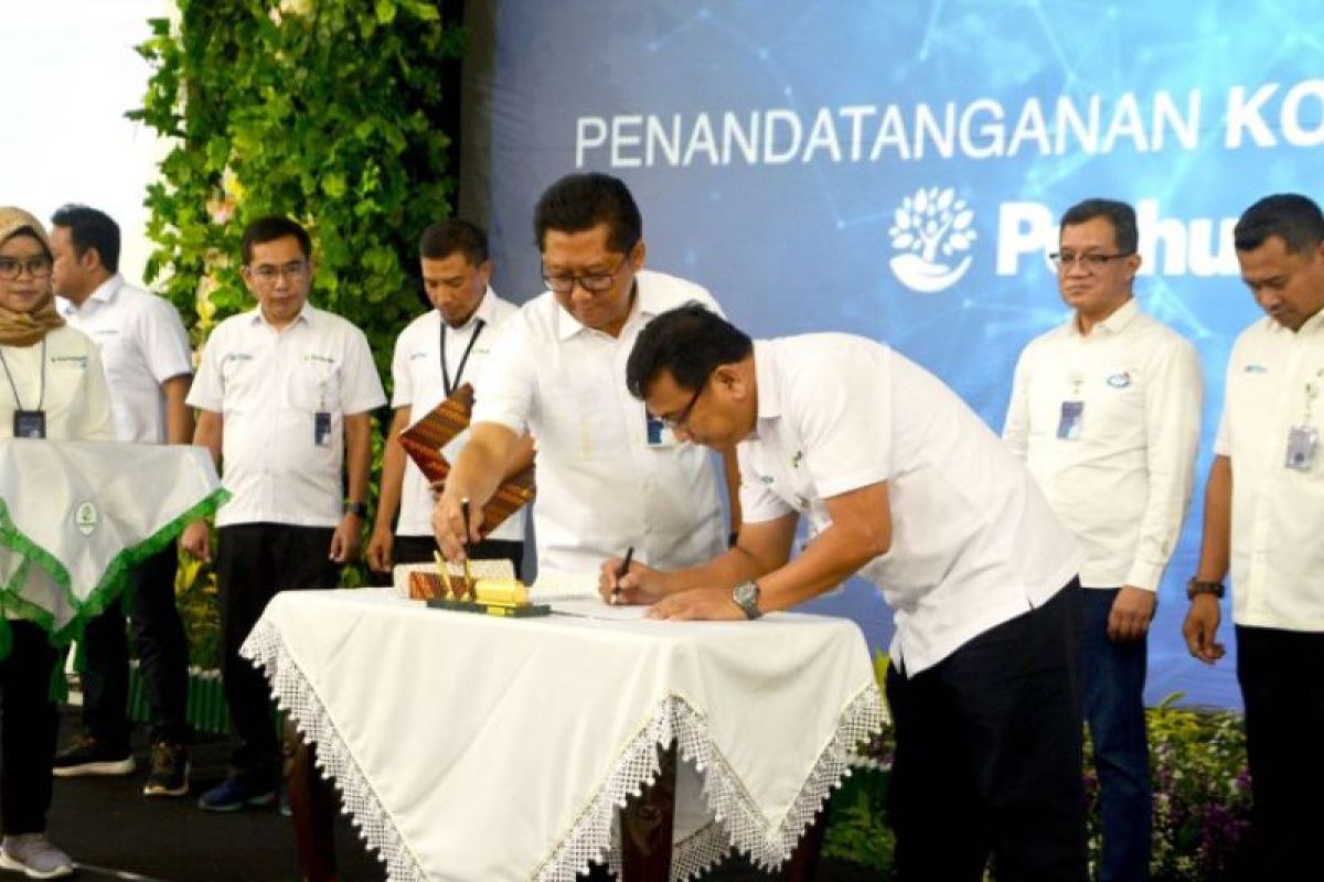 Perhutani to strengthen nature based solutions, biomass businesses