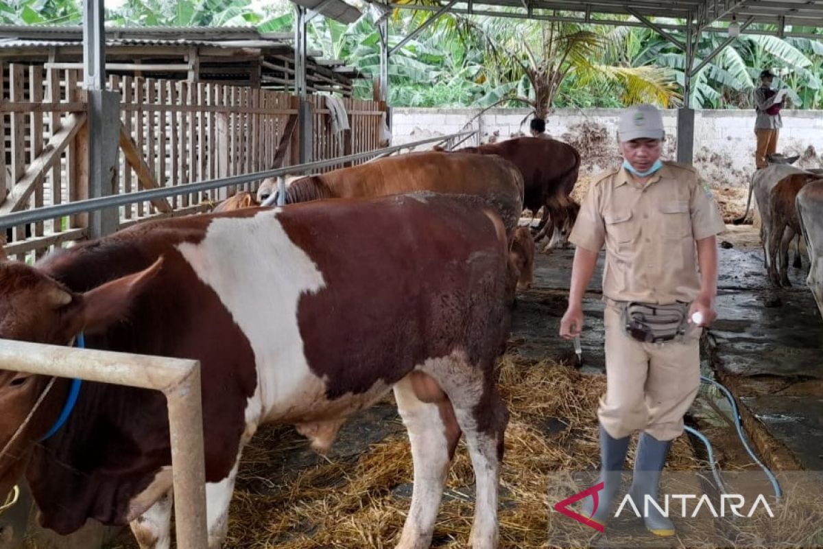 9.035 hewan ternak di Bekasi berstatus tervaksinasi PMK sepanjang 2022