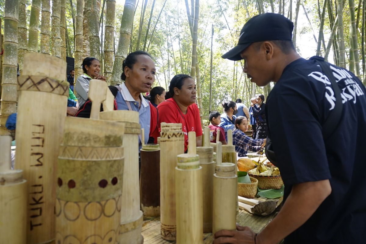 Dispar Ngada jalankan tiga program tarik minat wisatawan