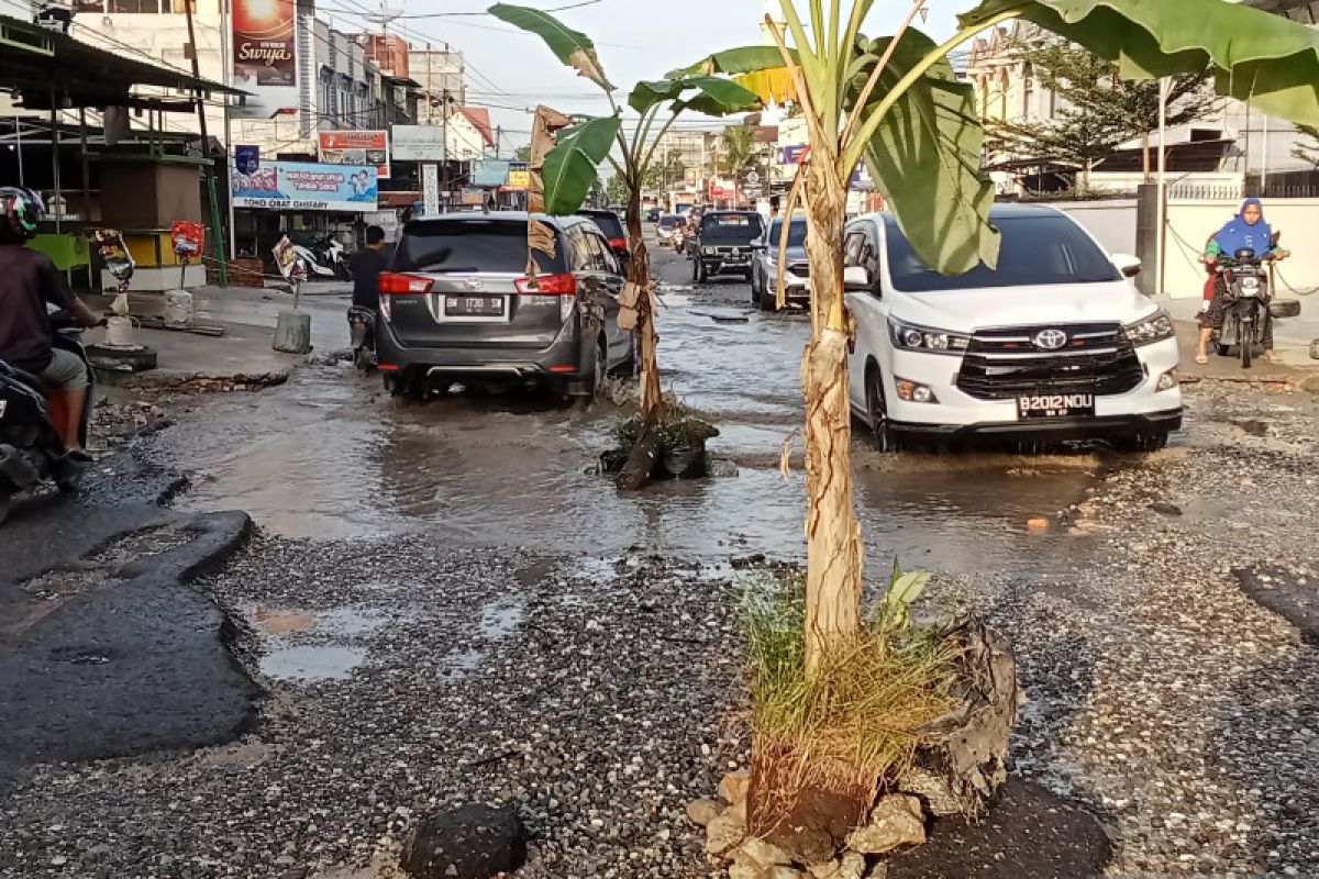 Tak kunjung diperbaiki, warga tanam dua pisang di Jalan Dharma Bhakti Pekanbaru
