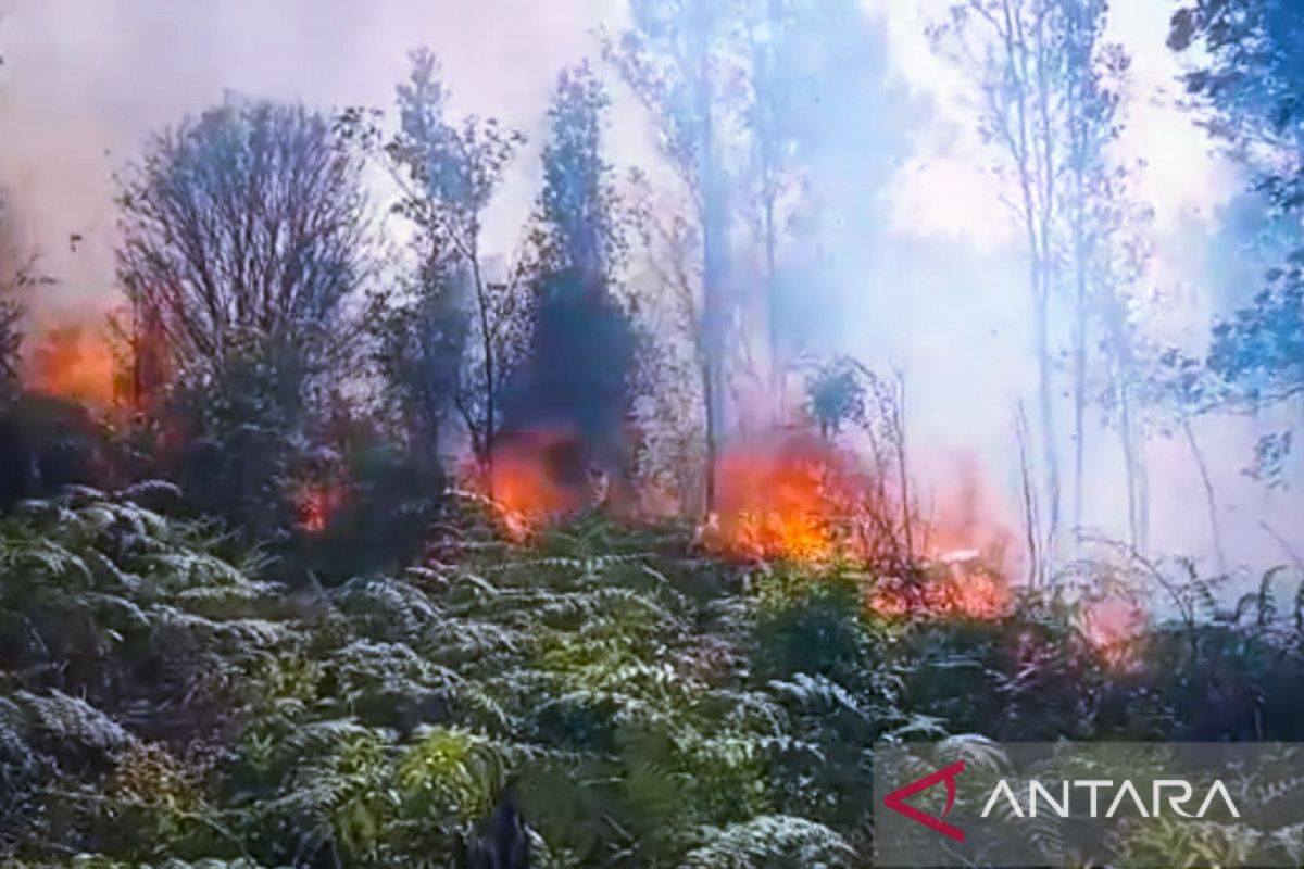 Polri monitor titik api cegah peningkatan kebakaran hutan