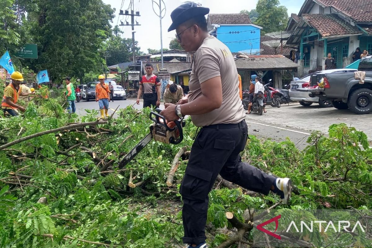Petugas gabungan lakukan pemangkasan beberapa titik pohon jalan nasional di Palabuhanratu