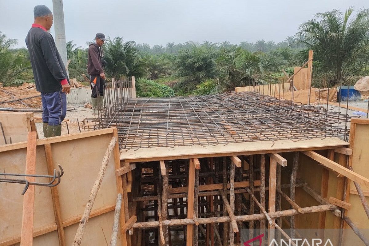 Bahagia Masyarakat Rimba Jaya kala PTPN V bangun kembali "Nadi Ekonomi" Desa