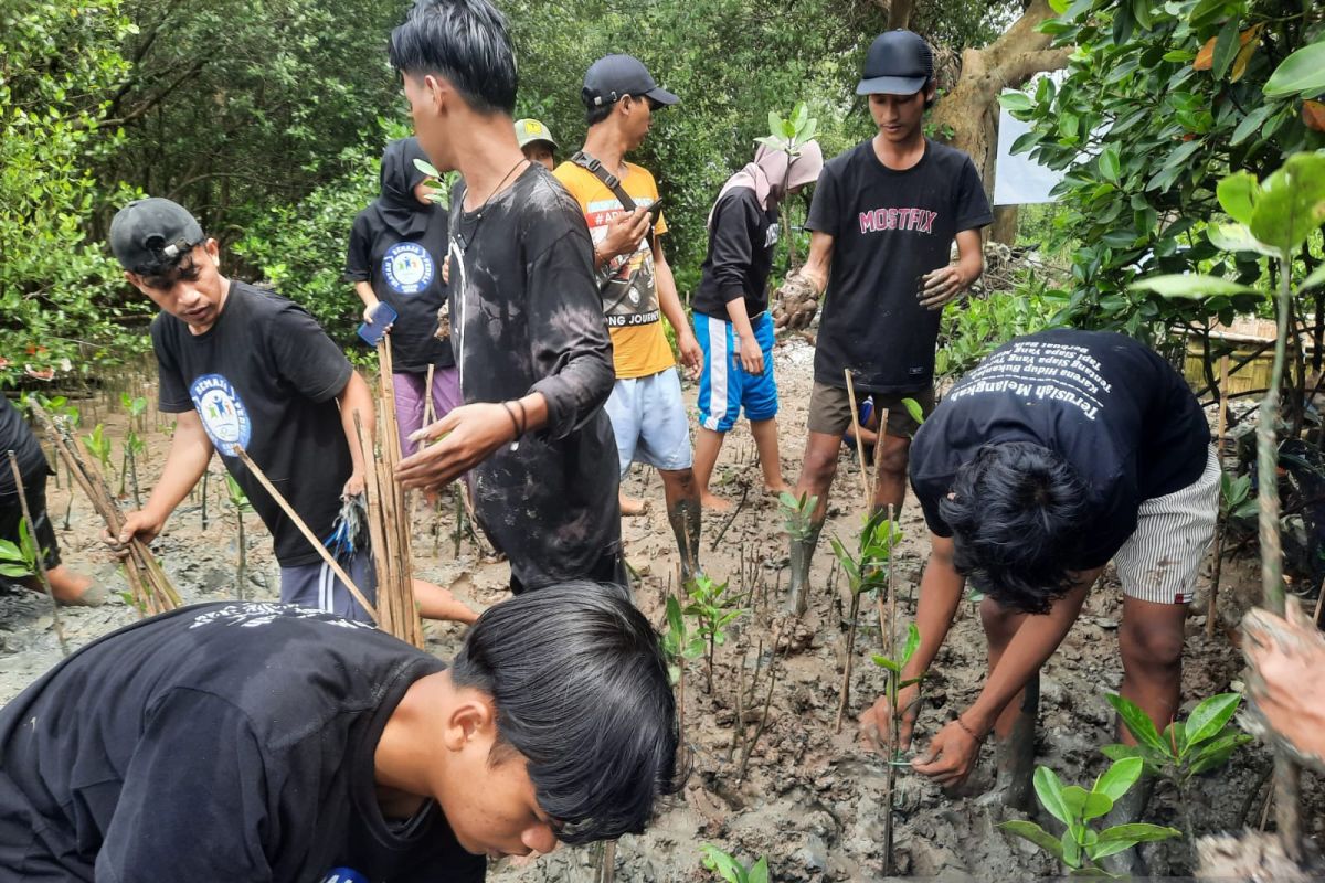 Yayasan senyum insan nusantara dan ikatan remaja peduli lakukan gerakan tanam mangrove di Pulau Cangkir