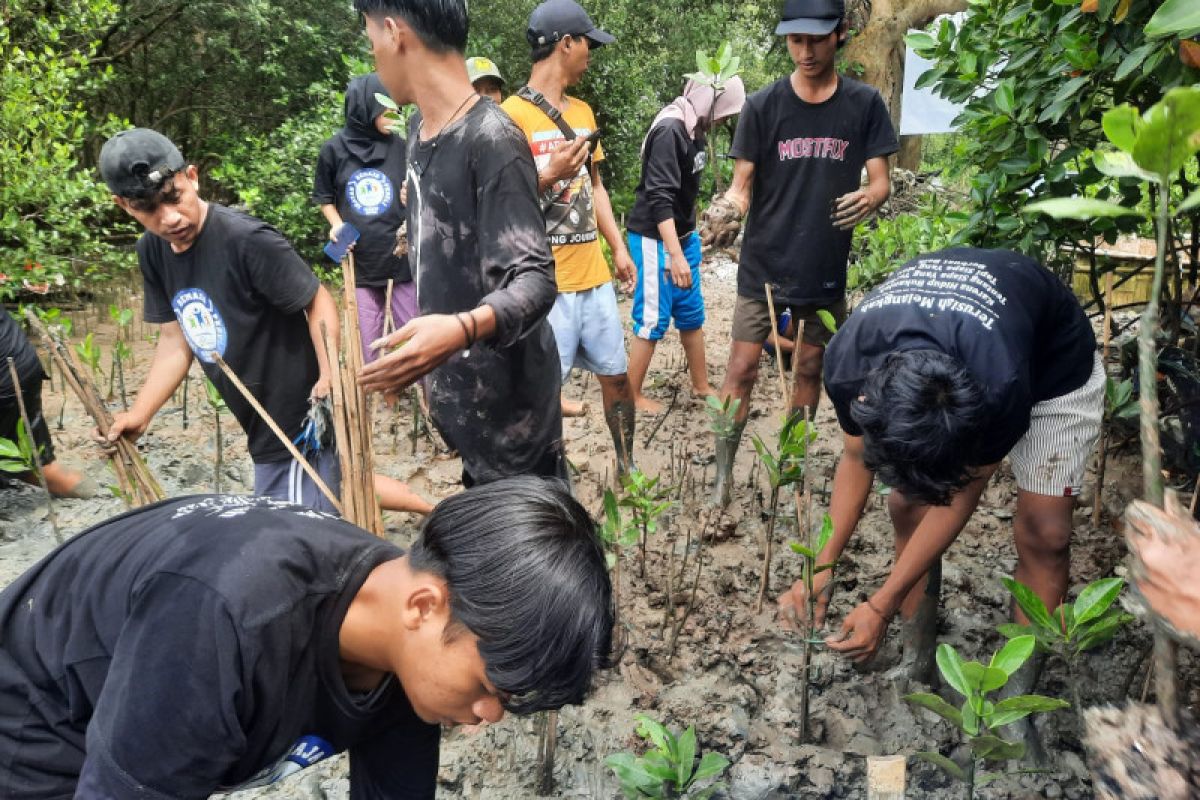 Komunitas Sedekah Terbuka tanam mangrove di Pulau Cangkir Tangerang untuk cegah abrasi