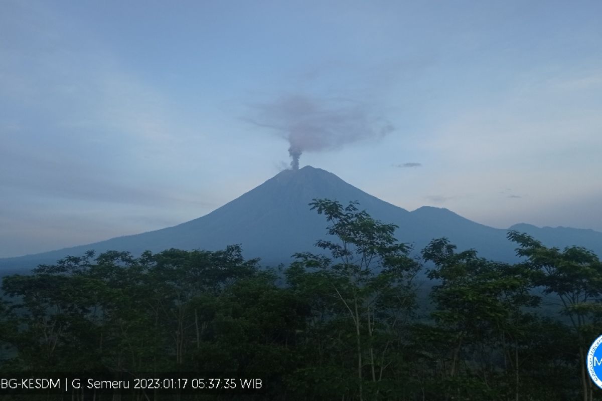Gunung Semeru kembali erupsi disertai suara gemuruh dan guguran