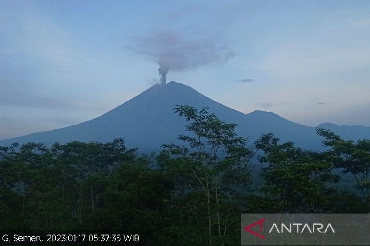 Gunung Semeru meletus lagi, disertai dengan suara gemuruh dan guguran