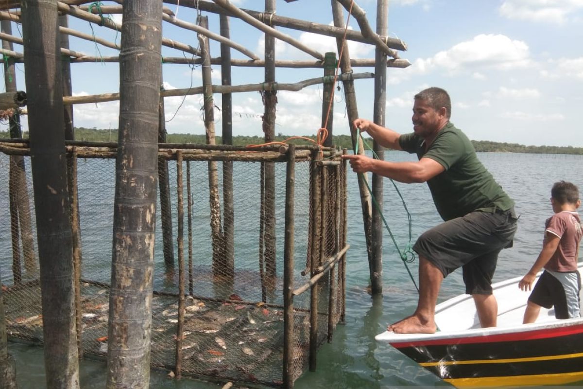 Cari ikan dingkis, nelayan di Batam mulai turunkan kelong jelang Imlek