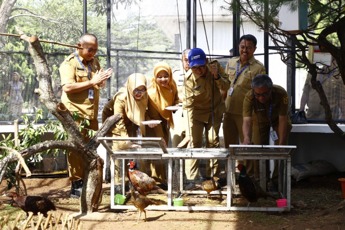 Pemkab Bogor lengkapi Situ Plaza Cibinong dengan aviari dan satwa