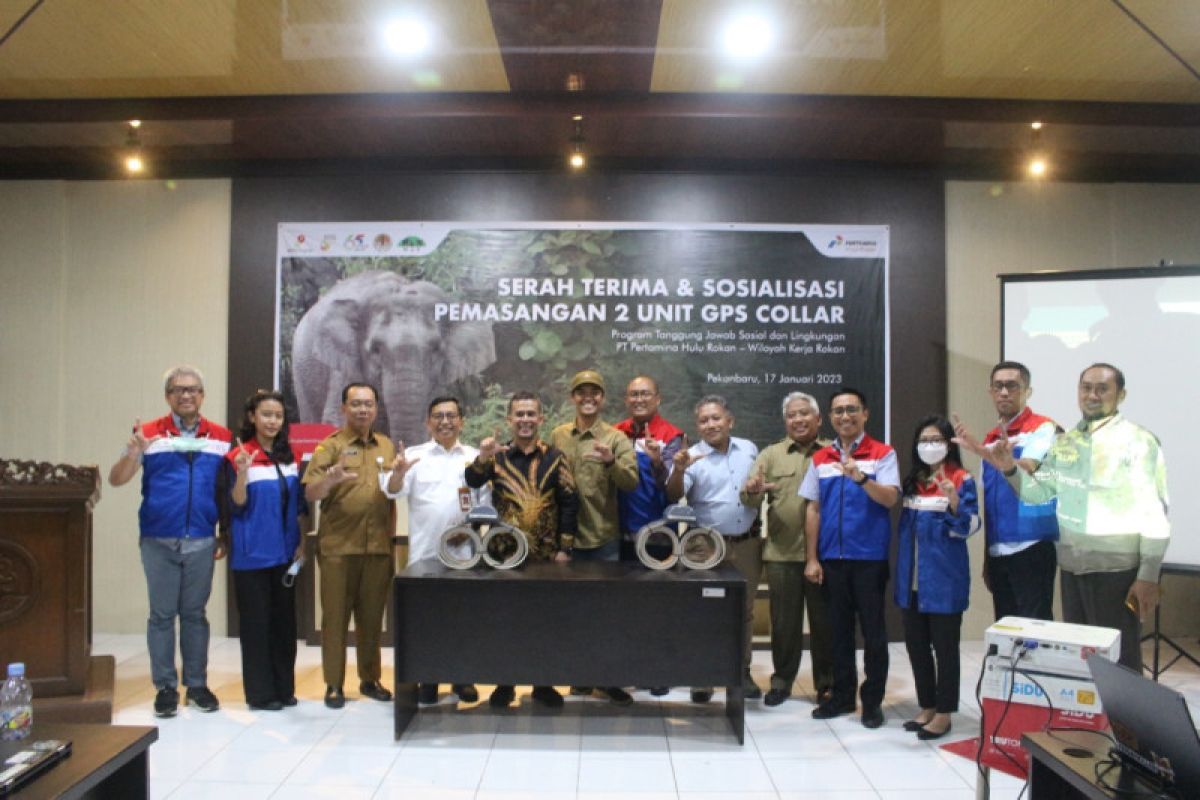 PHR sumbang GPS Collar untuk pantau gajah Sumatera