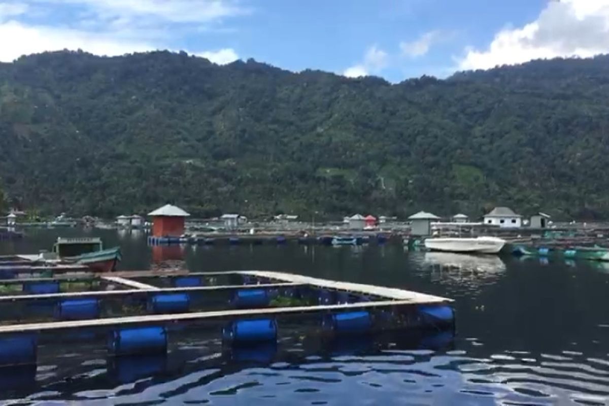 Kadar oksigen di Danau Ranau kembali normal kasus kematian ikan berkurang