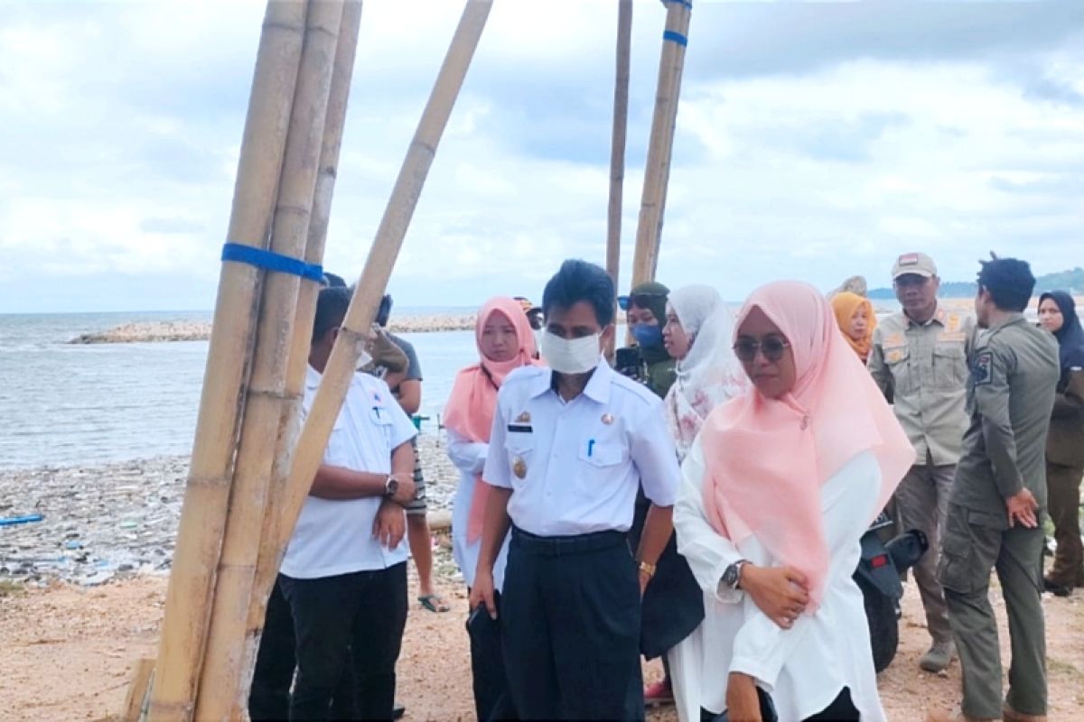 Pemkab Selayar respons fenomena warna air laut berubah hijau