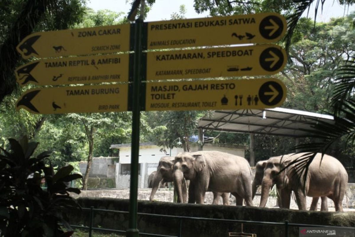 GL Zoo tambah koleksi satwa jelang Imlek 2023