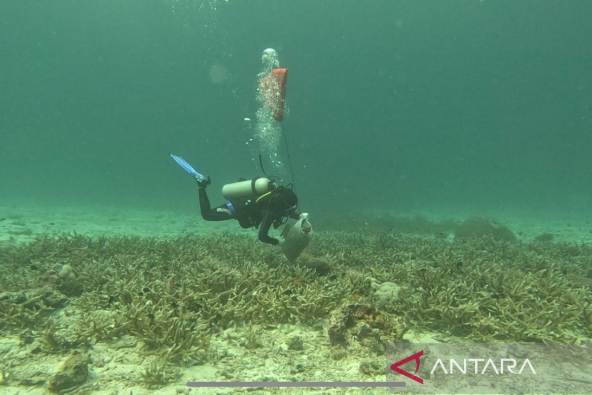 Penyelam bersihkan sampah di dasar laut Sabang Aceh