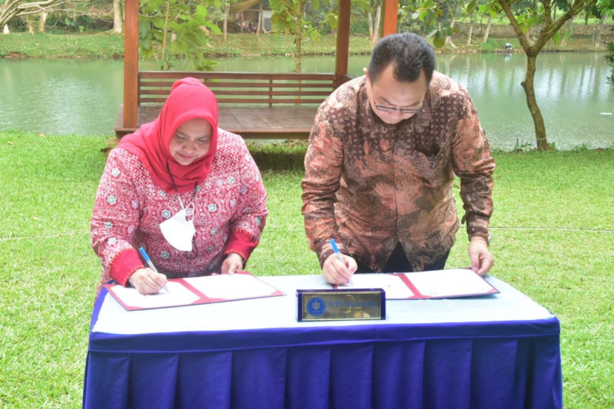 Tingkatkan kolaborasi desa, Pemkab Bengkalis jalin kerjasama dengan IPB