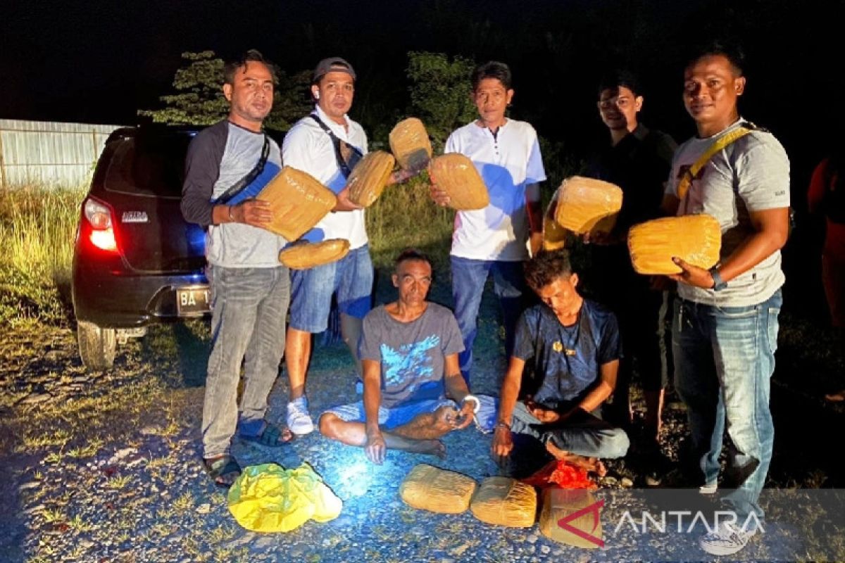 Polresta Padang sita sebelas kilogram ganja dari tangan pengedar