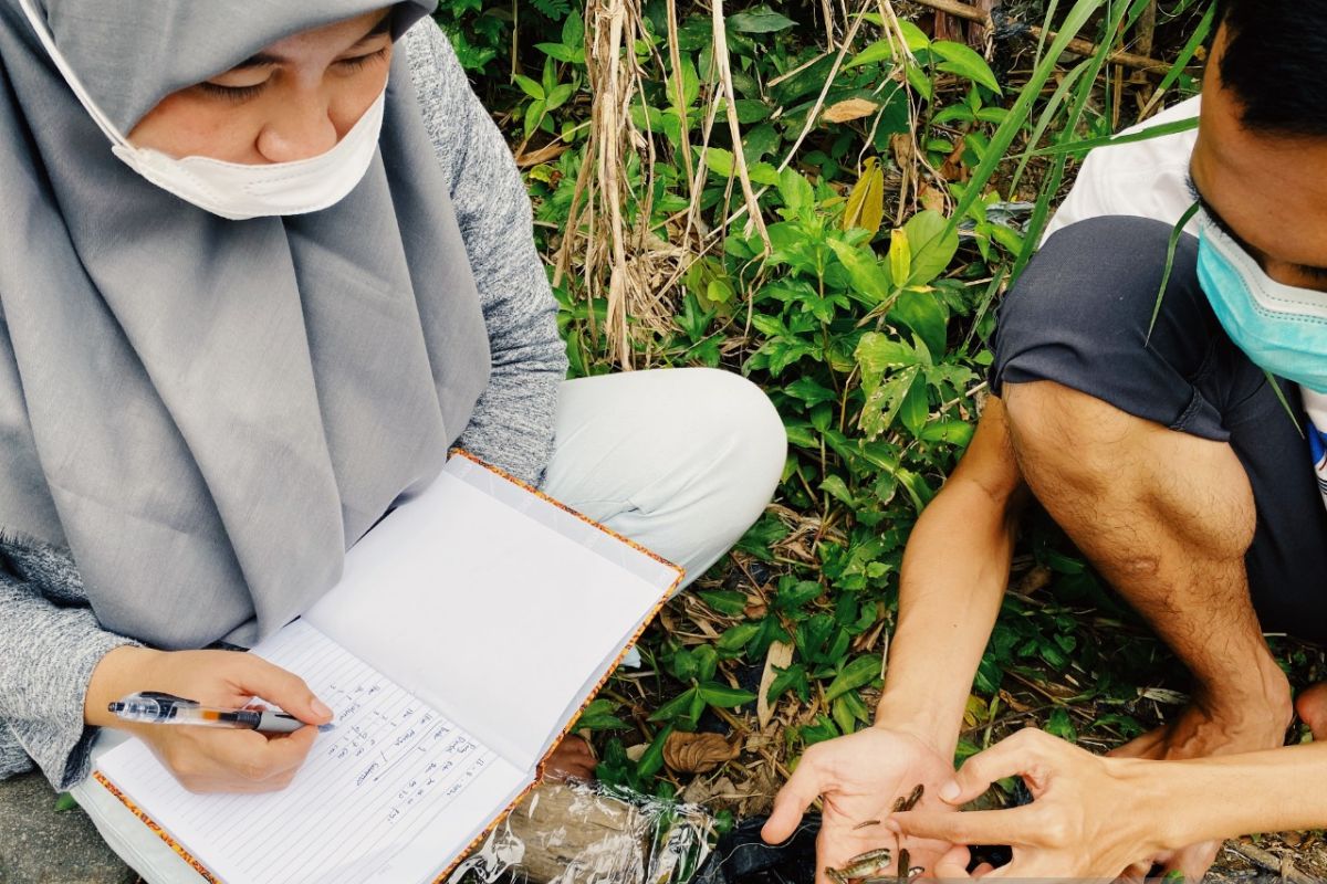 KKP dan FAO kembangkan pengelolaan perairan darat berkelanjutan