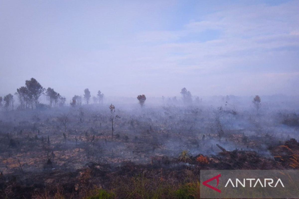 Kebakaran lahan gambut di Natuna semakin meluas