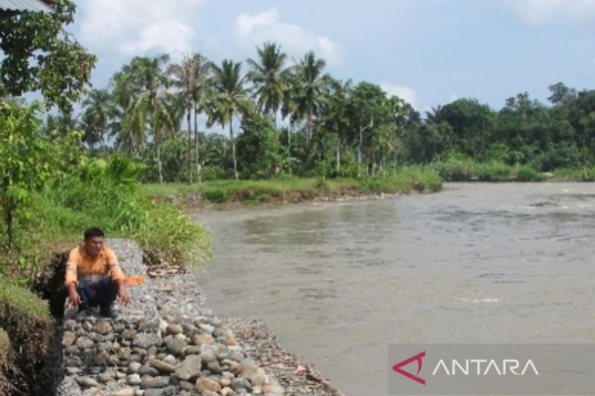 Oki, belasan tahun melawan derasnya Sungai Batang Toru demi keluarga