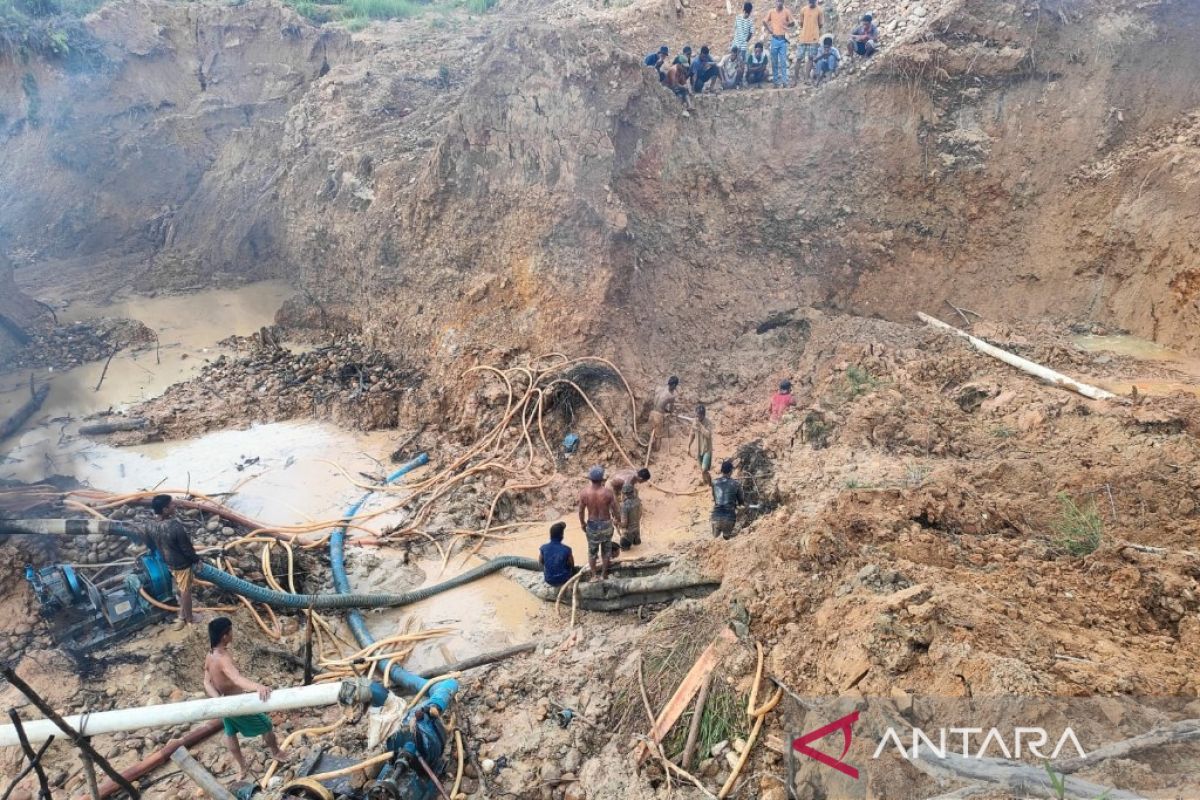 Tambang emas di Madina kembali telan korban