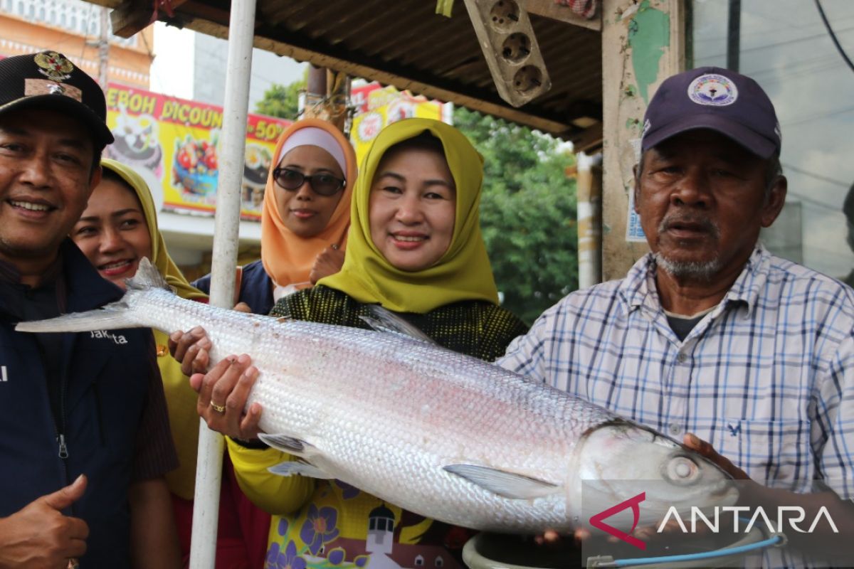 Sudin KPKP Jakarta Barat sidak pedagang ikan bandeng jelang Imlek