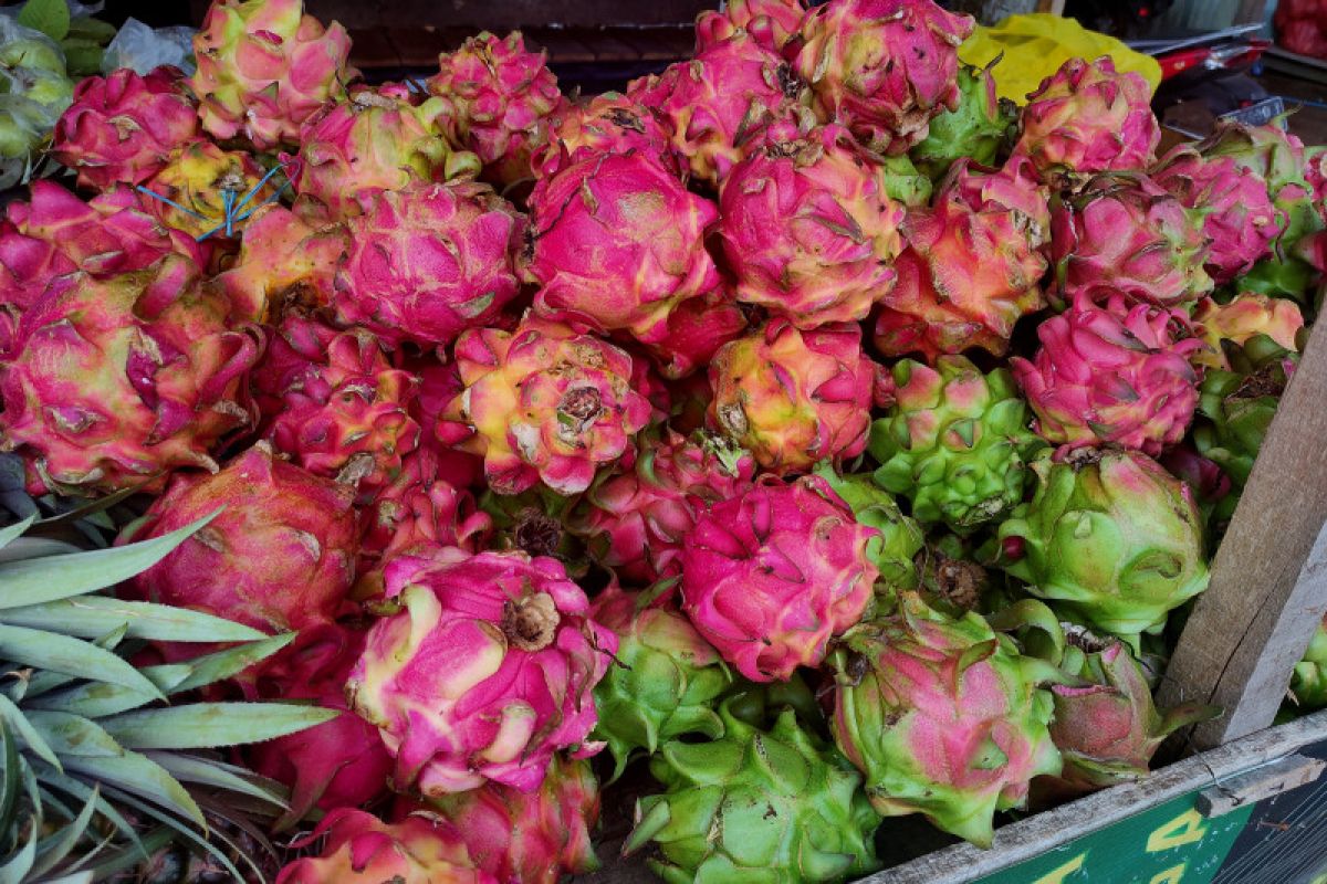 7 efek samping mengonsumsi buah naga berlebihan