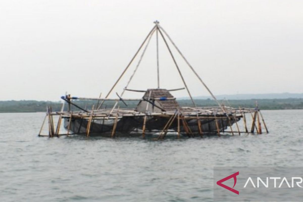 Mulai Maret, dilarang tangkap ikan bilih pakai bagan