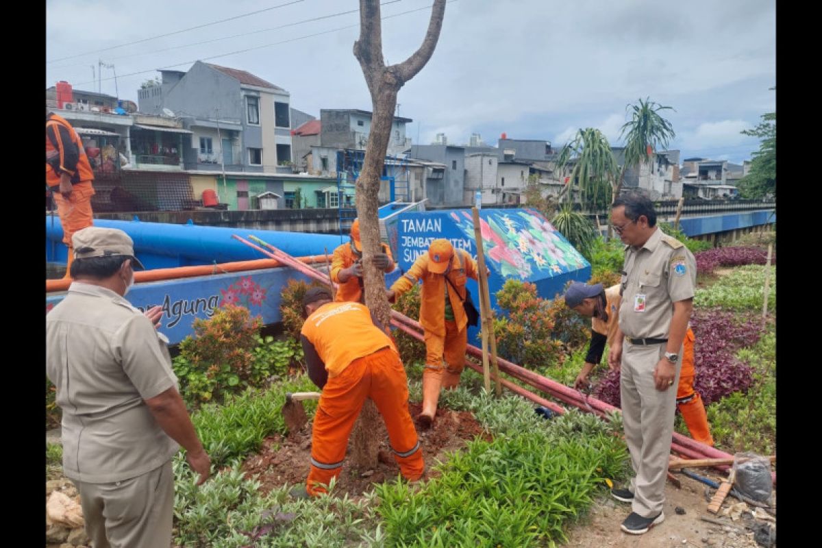 Pemkot Jakut ajak masyarakat aktif tanam pohon