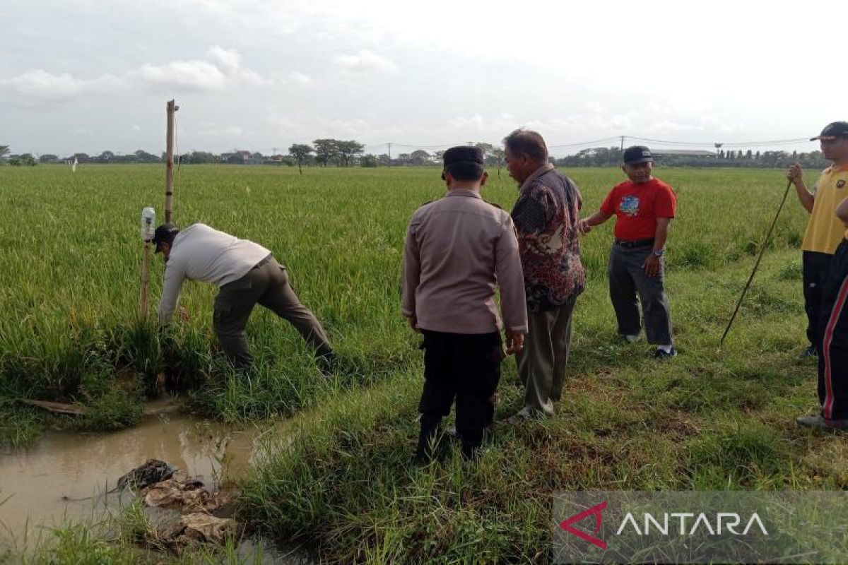 Polisi lakukan razia jebakan tikus aliran listrik di sawah Sukoharjo