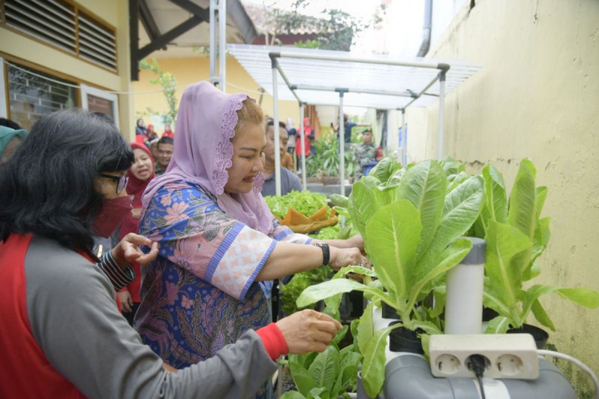 Sekolah di Kota Semarang diminta ajarkan pertanian perkotaan