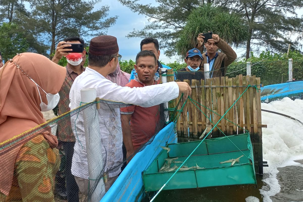 Produksi perikanan budi daya di Kabupaten Bangka Tengah capai 2.491 ton