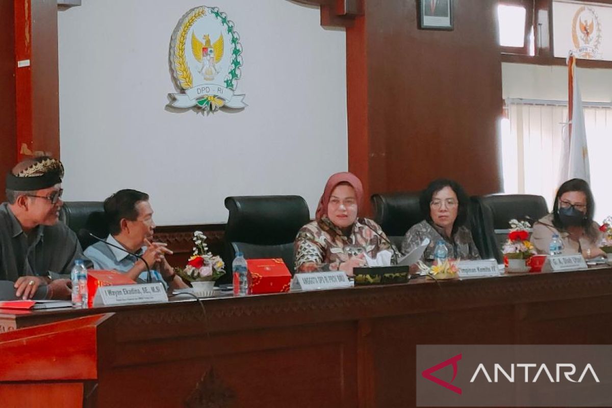 Komite IV DPD ingin sosialisasi pembiayaan UMKM di Bali diperluas