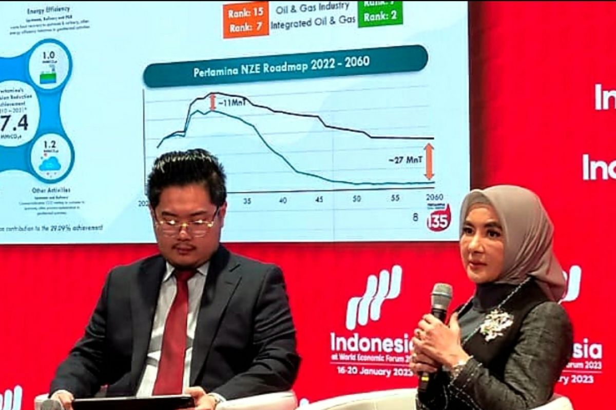 No one should be left behind during energy transition: Pertamina