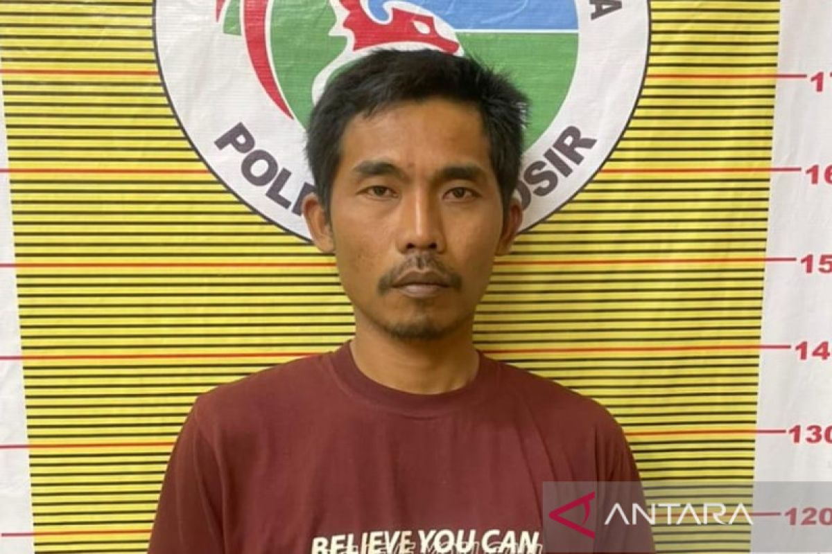 Polres Samosir tangkap pelaku penyalahguna narkoba