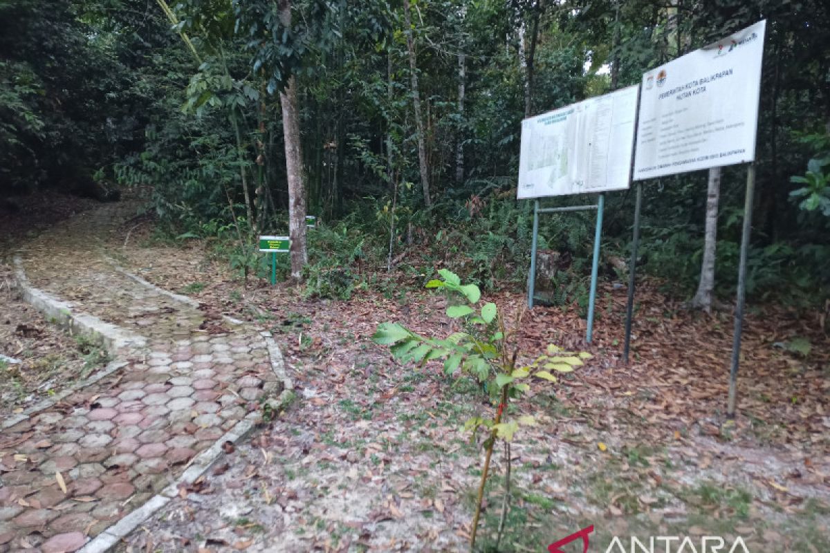 Hutan kota IKN akan tanam 15 juta pohon