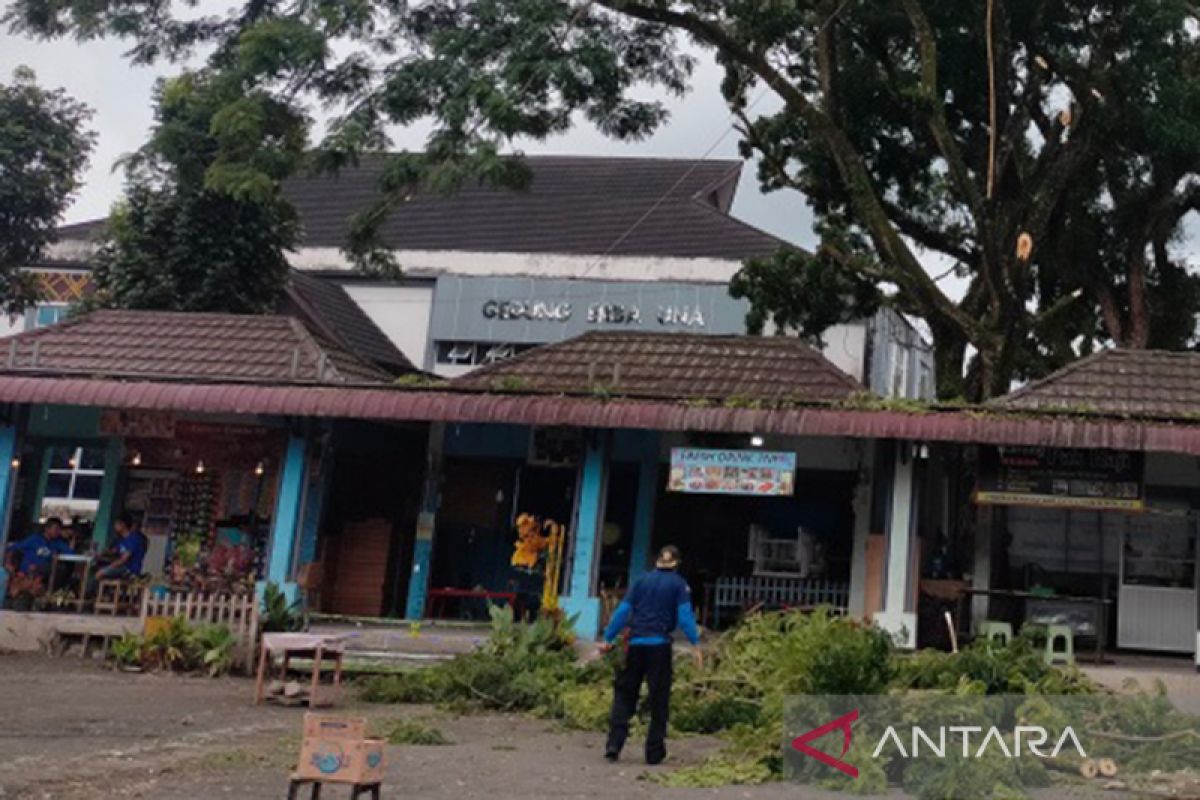 DLH Rejang Lebong siapkan layanan Klinik Lingkungan