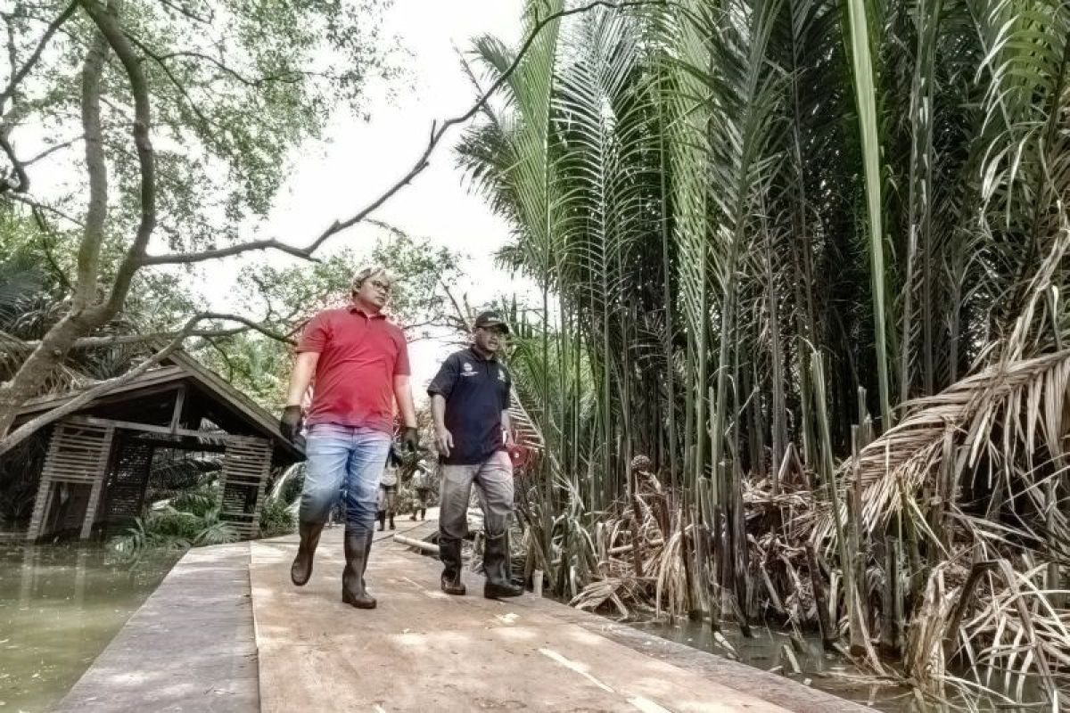 Yayasan Konservasi Alam Nusantara perkuat pemberdayaan masyarakat kurangi degradasi mangrove