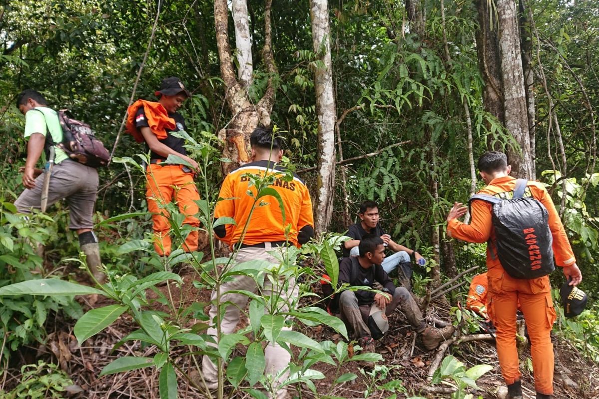 Tim SAR Kerinci cari kakek hilang di perkebunan kayu manis