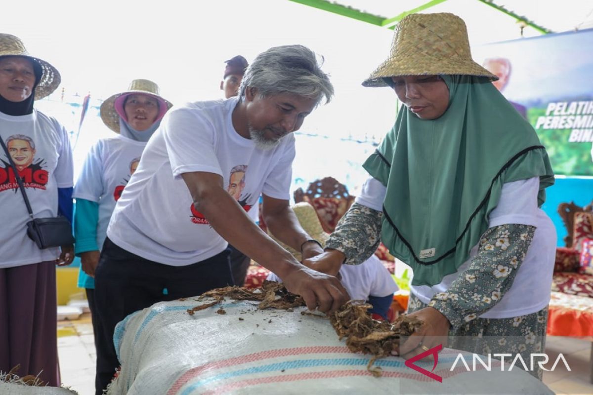 Relawan Ganjar latih petani milenial Pamekasan membudidayakan tembakau