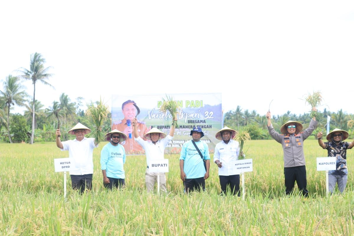 Pemkab Halteng dorong petani padi kembangkan produksi padi