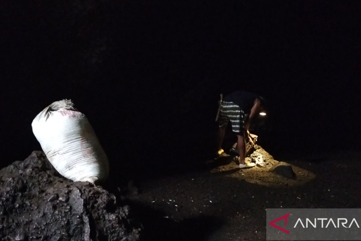 Berkah Gua Matu Pesisir Barat dan ribuan ton pupuk kotoran kelelawar