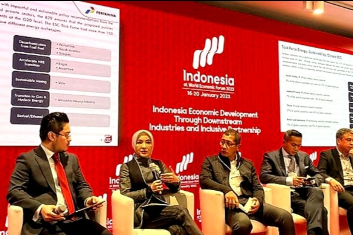 Pertamina has significant role in decarbonization, energy transition