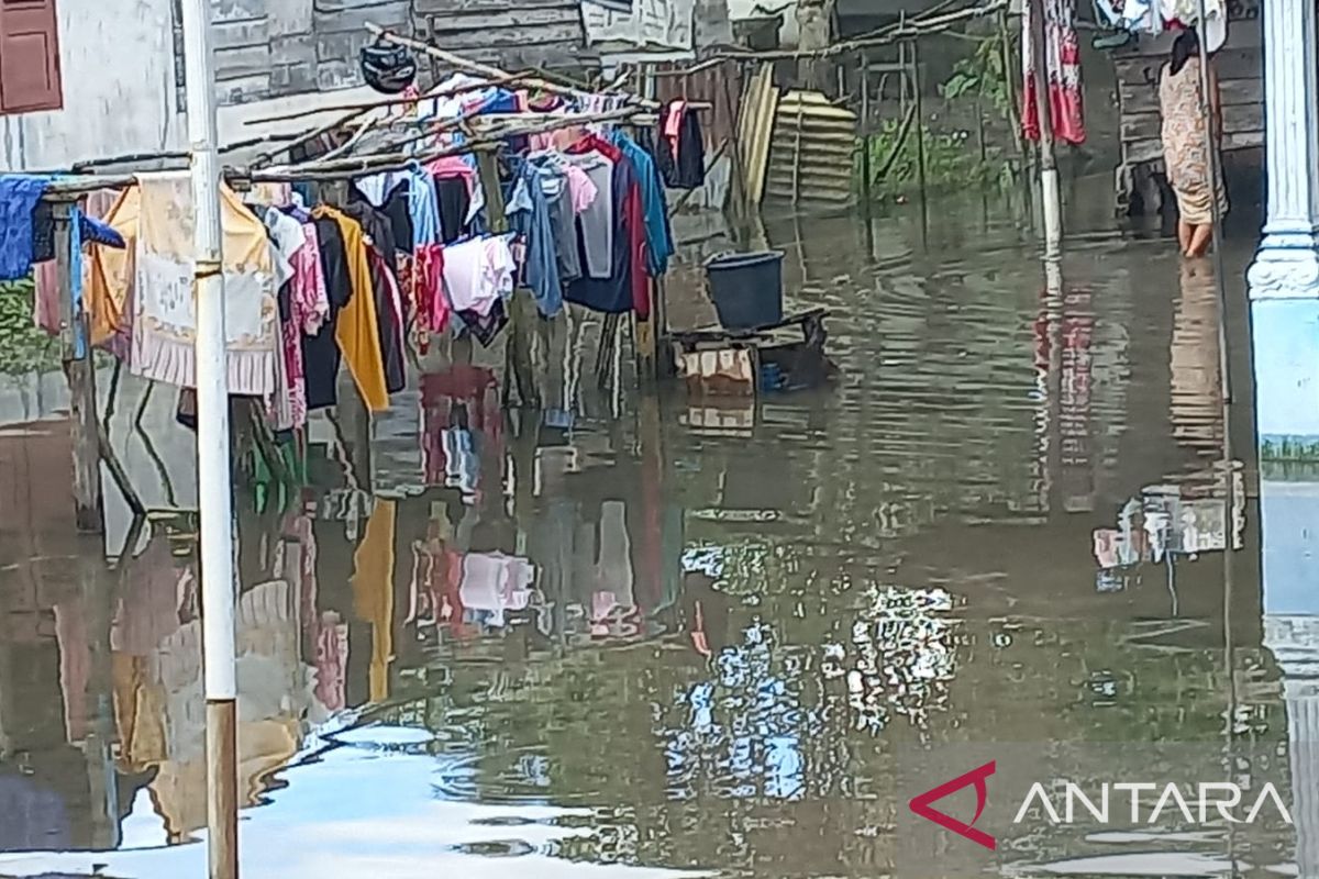 Ratusan rumah warga di Sungailiat terendam banjir rob