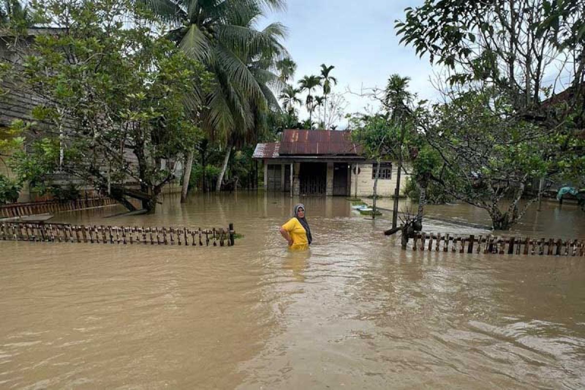 BPBD: 3.543 warga Aceh Utara mengungsi akibat banjir
