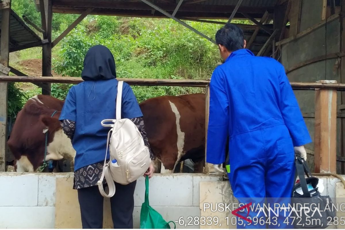 Capaian target pelayanan Puskeswan Pandeglang meningkat