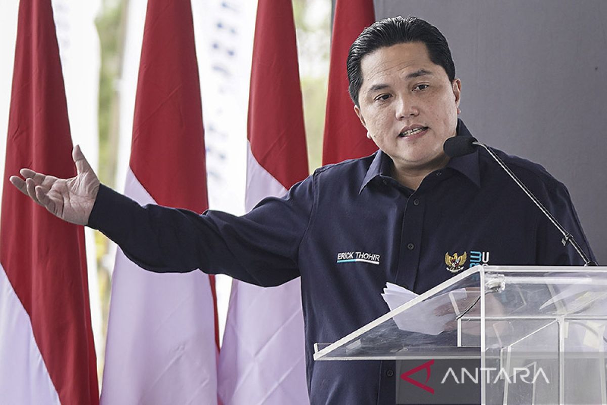 Pengamat nilai potensi Erick Thohir menjadi cawapres semakin kuat