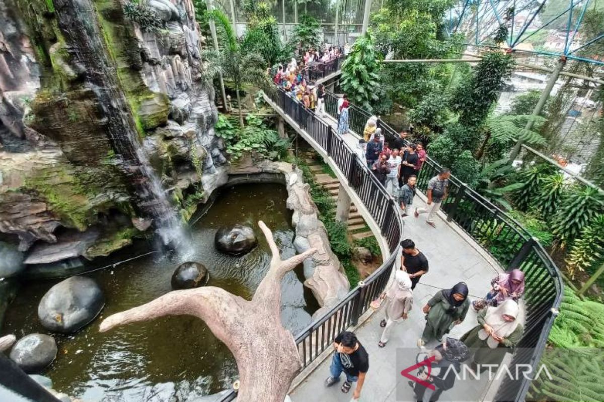 Lebih 10.000 wisatawan kunjungi TMSBK Bukittinggi saat libur Imlek