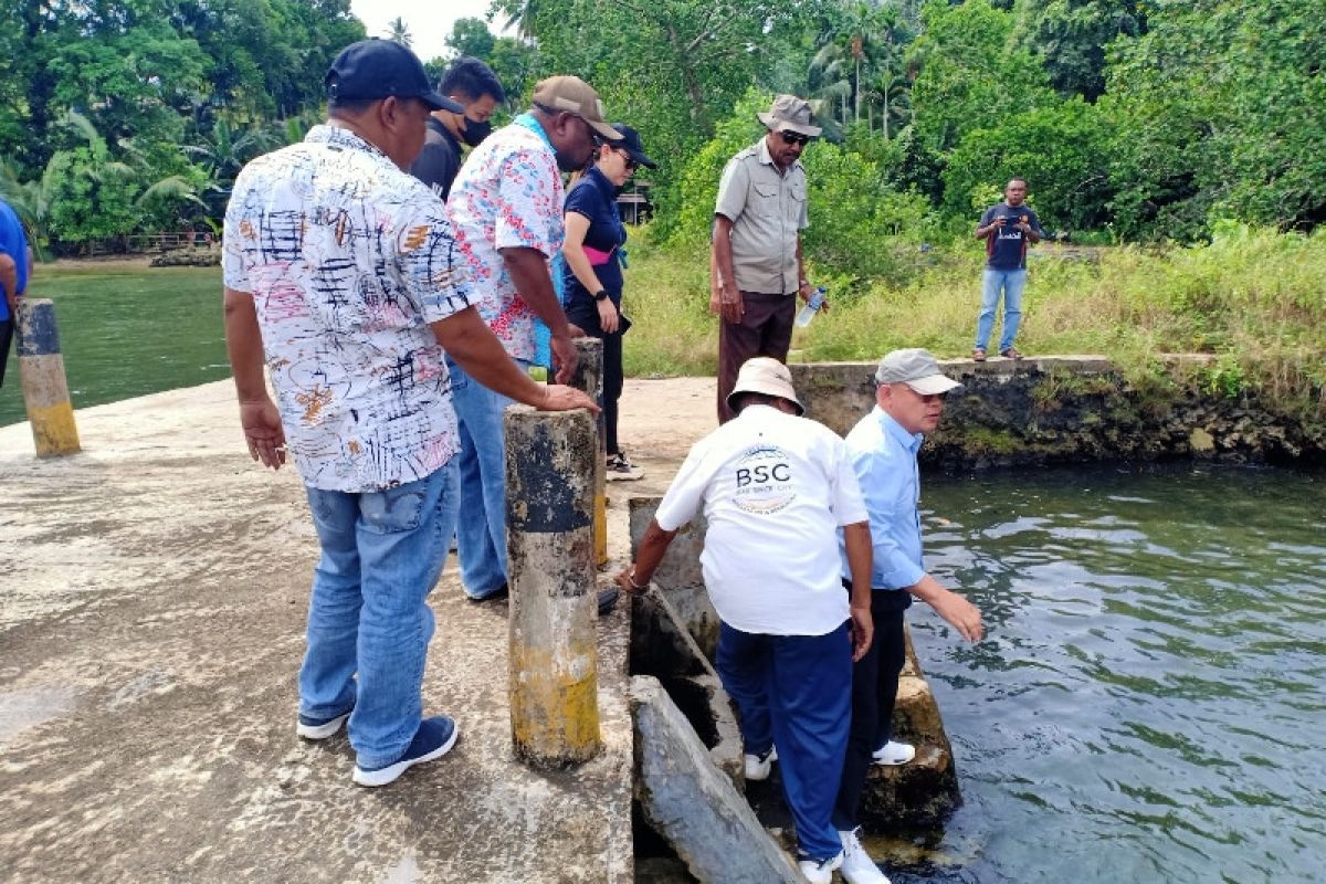 Pemkab Biak Numfor sebut syarat ganti rugi lahan punya sertifikat tanah