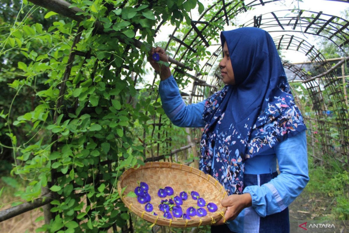 Produk jamu herbal Indonesia diincar importirArab Saudi