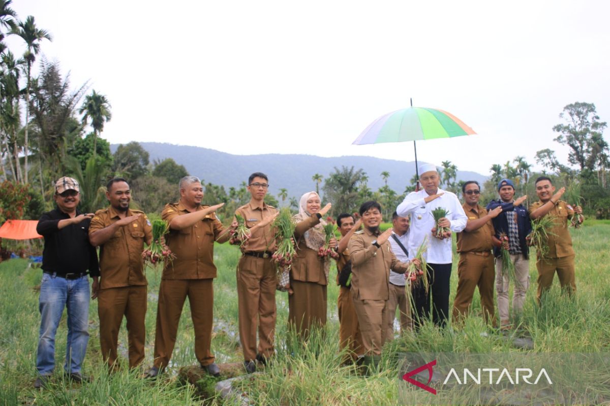 Tekan inflasi, Pemkab Pasaman Barat dorong setiap nagari tanam bawang dan cabai